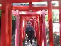 乙女稲荷神社の鳥居