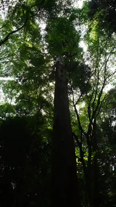 星田妙見宮(大阪府)