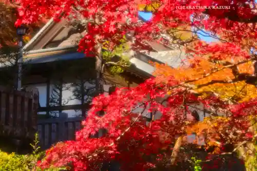 最乗寺（道了尊）(神奈川県)