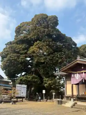 九重神社の{uncategorized: "未分類", other: "その他", undefined: "問題あり", building: "その他建物", grave: "お墓", sacred_gate: "鳥居", guardian: "狛犬", statue: "像", buddha: "仏像", history: "歴史", nature: "自然", garden: "庭園", animal: "動物", pagoda: "塔", temizu: "手水舎", mountain_gate: "山門・神門", sanctuary: "本殿・本堂", subordinate: "末社・摂社", art: "芸術", scenery: "景色", jizo: "地蔵", ema: "絵馬", goshuin: "御朱印", omikuji: "おみくじ", items: "授与品その他", amulet: "お守り", goshuincho: "御朱印帳", eats: "食事", festival: "お祭り", votive_dance: "神楽", shichigosan: "七五三参", wedding: "結婚式", experience: "体験その他", initially: "初詣", around: "周辺", anti_infection: "感染症対策"}