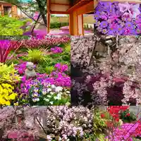 寿量山 速成寺の自然