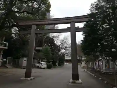 東郷神社の鳥居