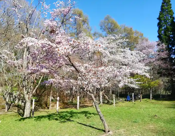 有珠善光寺(北海道)