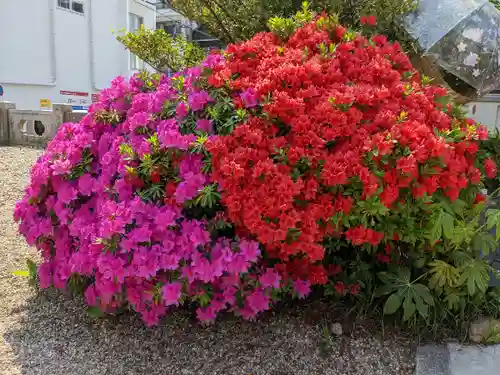 三輪神社の自然