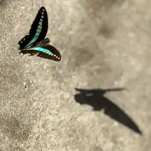 伊勢の国 四天王寺(三重県)