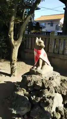 葛飾八幡宮の狛犬