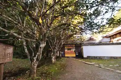 如法寺(愛媛県)