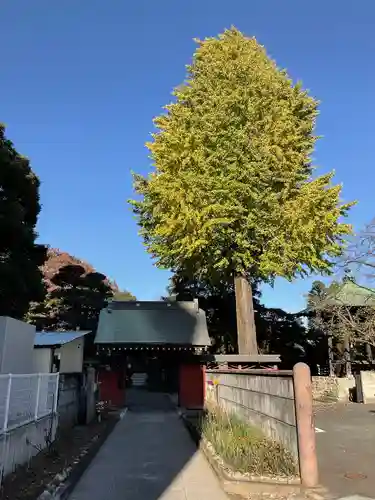 安養寺の山門・神門