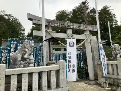 白蛇辨財天の{uncategorized: "未分類", other: "その他", undefined: "問題あり", building: "その他建物", grave: "お墓", sacred_gate: "鳥居", guardian: "狛犬", statue: "像", buddha: "仏像", history: "歴史", nature: "自然", garden: "庭園", animal: "動物", pagoda: "塔", temizu: "手水舎", mountain_gate: "山門・神門", sanctuary: "本殿・本堂", subordinate: "末社・摂社", art: "芸術", scenery: "景色", jizo: "地蔵", ema: "絵馬", goshuin: "御朱印", omikuji: "おみくじ", items: "授与品その他", amulet: "お守り", goshuincho: "御朱印帳", eats: "食事", festival: "お祭り", votive_dance: "神楽", shichigosan: "七五三参", wedding: "結婚式", experience: "体験その他", initially: "初詣", around: "周辺", anti_infection: "感染症対策"}