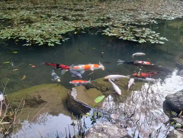 三光寺(岐阜県)