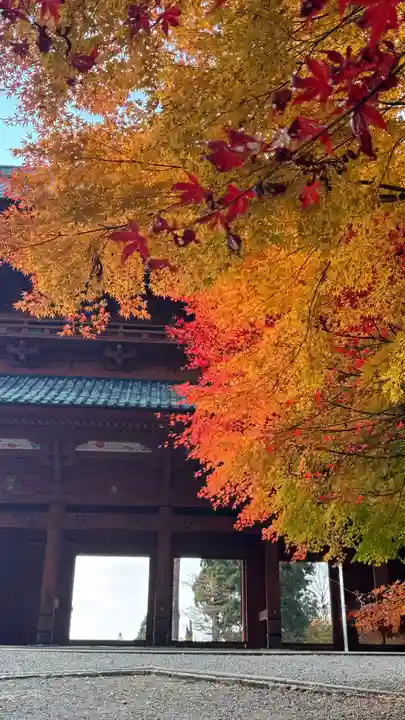 高野山金剛峯寺奥の院(和歌山県)