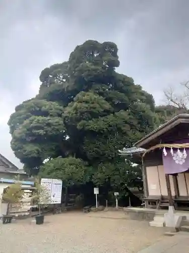 九重神社(埼玉県)