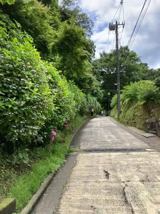 長壽寺(長寿寺)の周辺