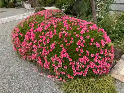 龍像寺(神奈川県)