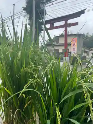 大鏑神社(福島県)