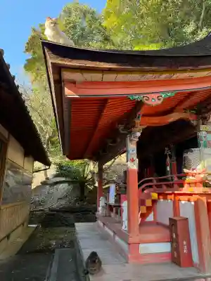 上岩出神社の{uncategorized: "未分類", other: "その他", undefined: "問題あり", building: "その他建物", grave: "お墓", sacred_gate: "鳥居", guardian: "狛犬", statue: "像", buddha: "仏像", history: "歴史", nature: "自然", garden: "庭園", animal: "動物", pagoda: "塔", temizu: "手水舎", mountain_gate: "山門・神門", sanctuary: "本殿・本堂", subordinate: "末社・摂社", art: "芸術", scenery: "景色", jizo: "地蔵", ema: "絵馬", goshuin: "御朱印", omikuji: "おみくじ", items: "授与品その他", amulet: "お守り", goshuincho: "御朱印帳", eats: "食事", festival: "お祭り", votive_dance: "神楽", shichigosan: "七五三参", wedding: "結婚式", experience: "体験その他", initially: "初詣", around: "周辺", anti_infection: "感染症対策"}