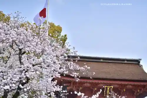 富士山本宮浅間大社(静岡県)
