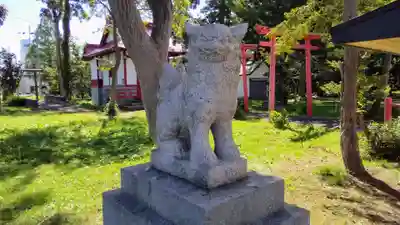 空知神社の狛犬