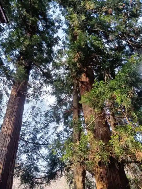 大塩温泉神社(福島県)