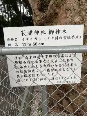 荻浦神社の{uncategorized: "未分類", other: "その他", undefined: "問題あり", building: "その他建物", grave: "お墓", sacred_gate: "鳥居", guardian: "狛犬", statue: "像", buddha: "仏像", history: "歴史", nature: "自然", garden: "庭園", animal: "動物", pagoda: "塔", temizu: "手水舎", mountain_gate: "山門・神門", sanctuary: "本殿・本堂", subordinate: "末社・摂社", art: "芸術", scenery: "景色", jizo: "地蔵", ema: "絵馬", goshuin: "御朱印", omikuji: "おみくじ", items: "授与品その他", amulet: "お守り", goshuincho: "御朱印帳", eats: "食事", festival: "お祭り", votive_dance: "神楽", shichigosan: "七五三参", wedding: "結婚式", experience: "体験その他", initially: "初詣", around: "周辺", anti_infection: "感染症対策"}