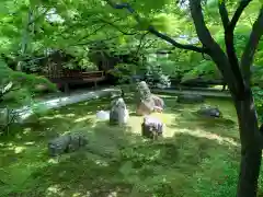 建仁寺（建仁禅寺）の庭園