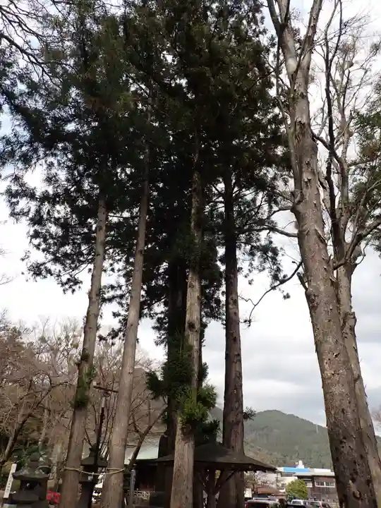 小室浅間神社(山梨県)