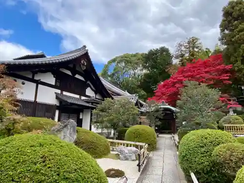榮攝院（栄摂院）(京都府)