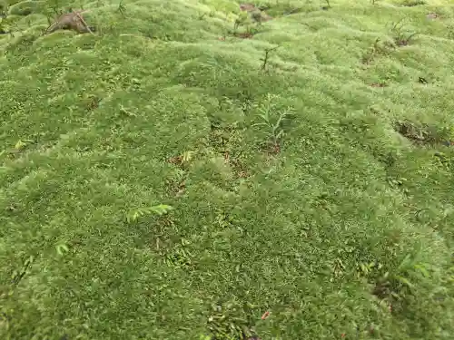 唐招提寺(奈良県)