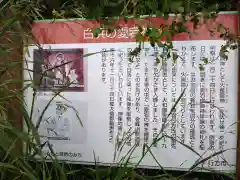 愛宕神社の歴史