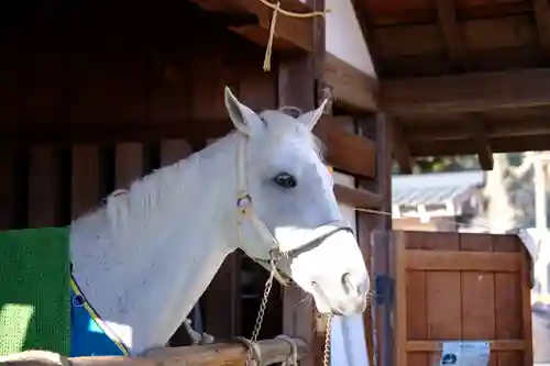 賀茂別雷神社（上賀茂神社）(京都府)