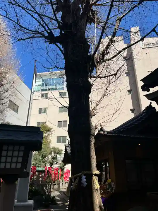 日本橋日枝神社の{uncategorized: "未分類", other: "その他", undefined: "問題あり", building: "その他建物", grave: "お墓", sacred_gate: "鳥居", guardian: "狛犬", statue: "像", buddha: "仏像", history: "歴史", nature: "自然", garden: "庭園", animal: "動物", pagoda: "塔", temizu: "手水舎", mountain_gate: "山門・神門", sanctuary: "本殿・本堂", subordinate: "末社・摂社", art: "芸術", scenery: "景色", jizo: "地蔵", ema: "絵馬", goshuin: "御朱印", omikuji: "おみくじ", items: "授与品その他", amulet: "お守り", goshuincho: "御朱印帳", eats: "食事", festival: "お祭り", votive_dance: "神楽", shichigosan: "七五三参", wedding: "結婚式", experience: "体験その他", initially: "初詣", around: "周辺", anti_infection: "感染症対策"}
