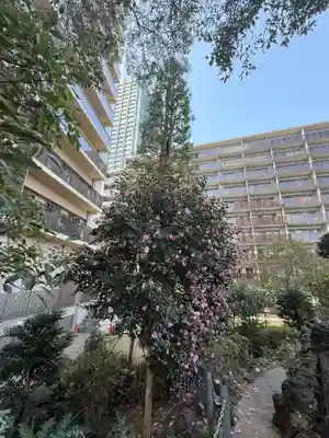 成子天神社(東京都)