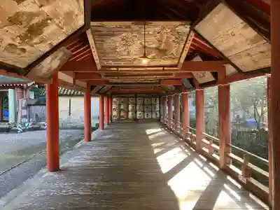 柞原八幡宮(大分県)