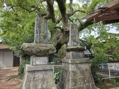 海童神社(佐賀県)