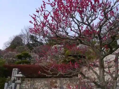 中山寺の自然