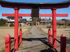 礒部神社の鳥居