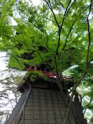 柳沢寺(群馬県)