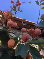 津島神社の周辺