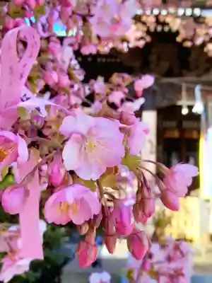桜神宮(東京都)