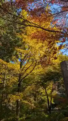 神藏寺(京都府)