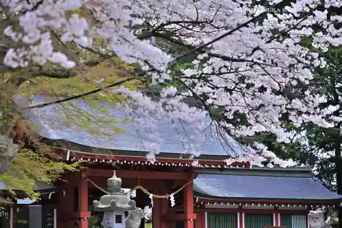 冨士御室浅間神社(山梨県)