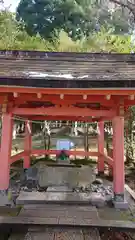 出石神社の手水