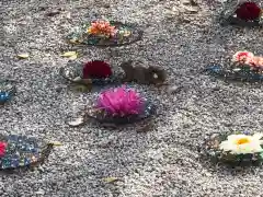 伊和志津神社の建物その他