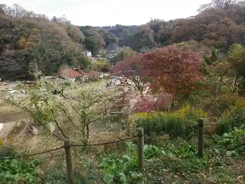 永福寺跡（永福寺址）の自然
