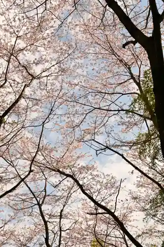熊野神社(愛媛県)