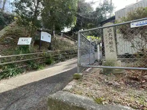 大杉弘法堂（弘法スギ）(滋賀県)