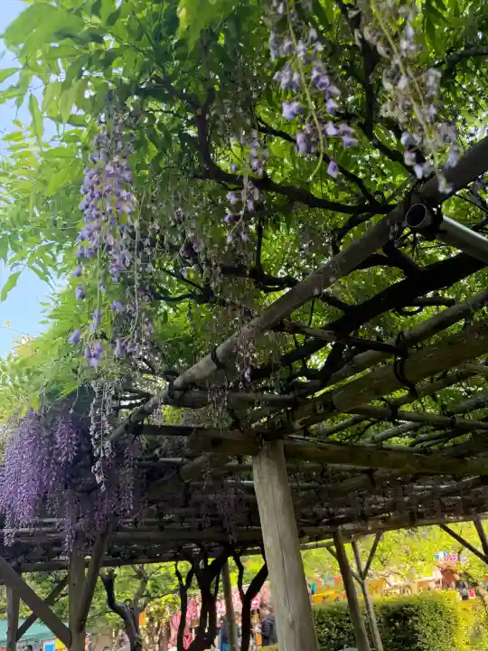 亀戸天神社の{uncategorized: "未分類", other: "その他", undefined: "問題あり", building: "その他建物", grave: "お墓", sacred_gate: "鳥居", guardian: "狛犬", statue: "像", buddha: "仏像", history: "歴史", nature: "自然", garden: "庭園", animal: "動物", pagoda: "塔", temizu: "手水舎", mountain_gate: "山門・神門", sanctuary: "本殿・本堂", subordinate: "末社・摂社", art: "芸術", scenery: "景色", jizo: "地蔵", ema: "絵馬", goshuin: "御朱印", omikuji: "おみくじ", items: "授与品その他", amulet: "お守り", goshuincho: "御朱印帳", eats: "食事", festival: "お祭り", votive_dance: "神楽", shichigosan: "七五三参", wedding: "結婚式", experience: "体験その他", initially: "初詣", around: "周辺", anti_infection: "感染症対策"}