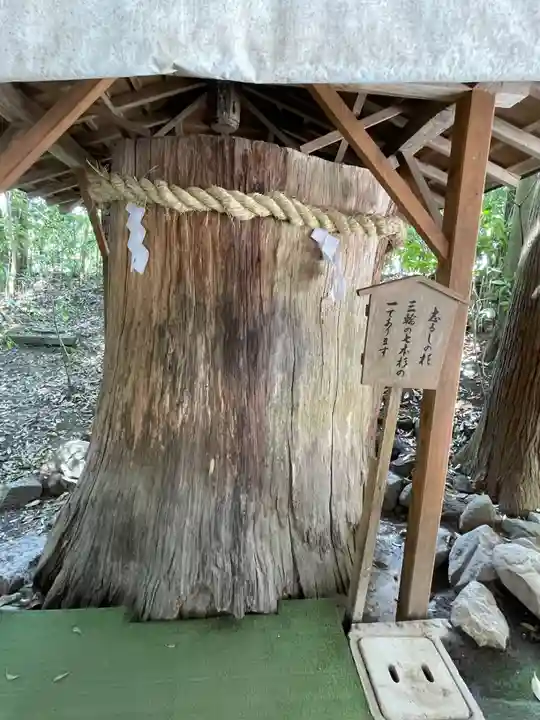 大神神社(奈良県)