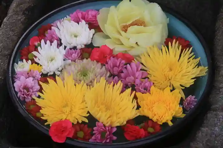 大鏑神社の手水舎