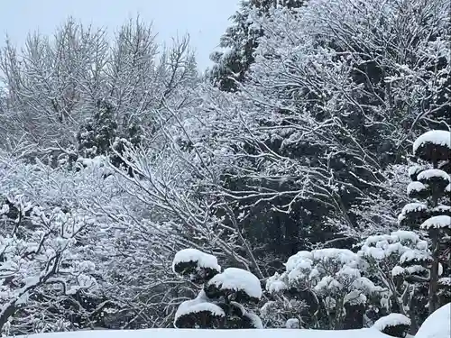 宝珠山 立石寺の自然